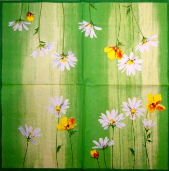 142 Daisies  - 3-ply - Ihr